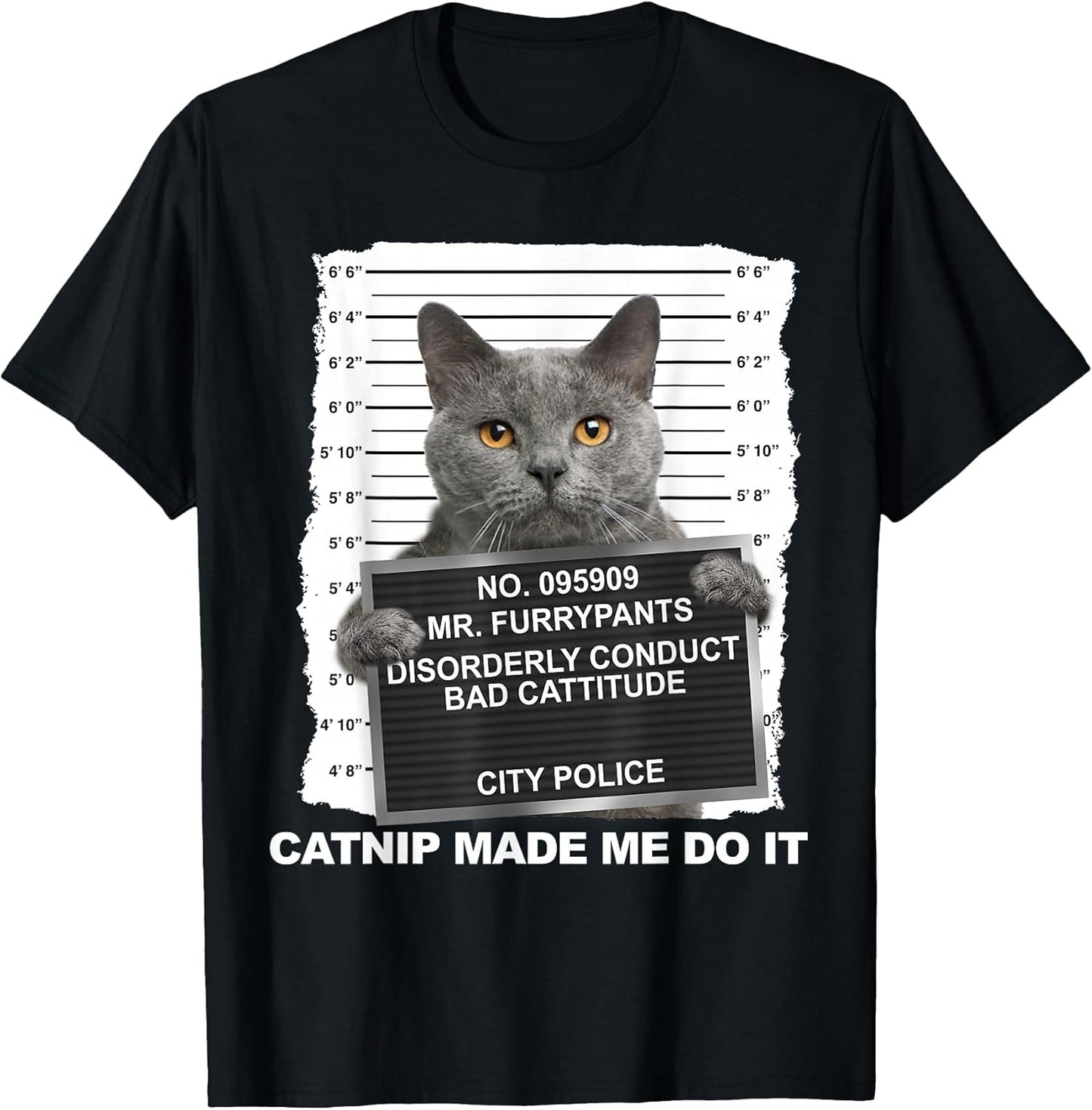 Catnip Made Me Do It