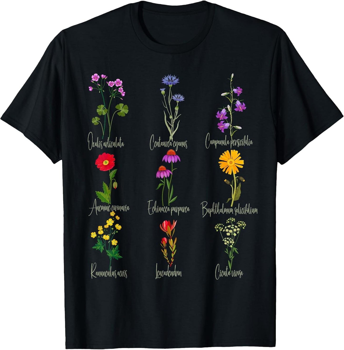 Botanical Chart Wildflower Names Floral Graphic Te