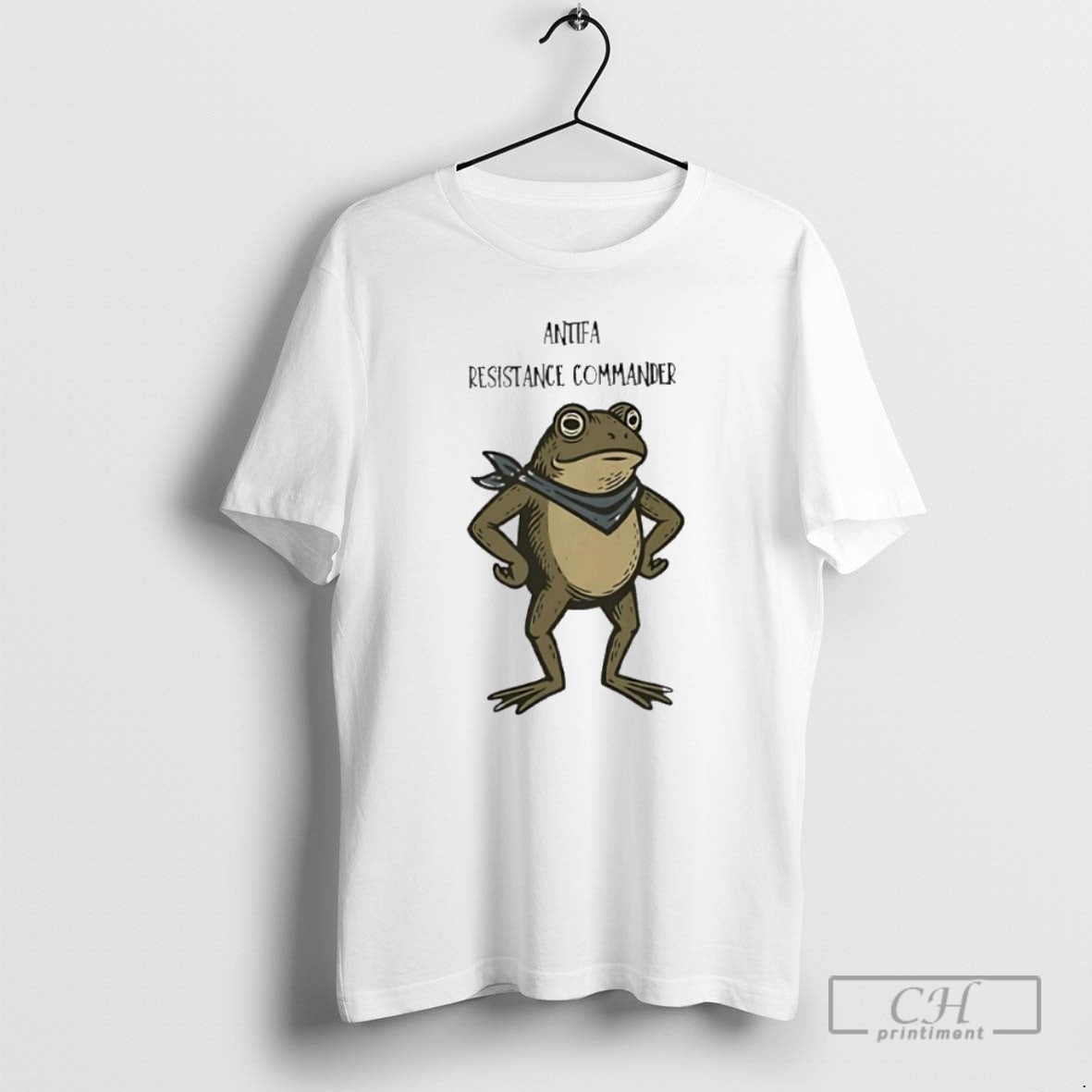 Classic Antifascism Vintage Activist Portland Frog Protest Shirt Sweater