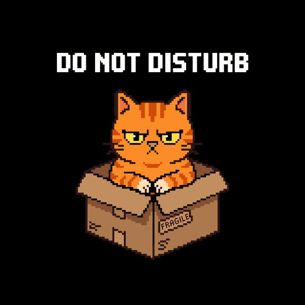 Grumpy Orange Cat In A Fragile Box