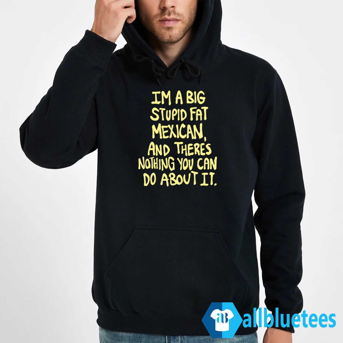 Im A Big Stupid Fat Mexican Shirt