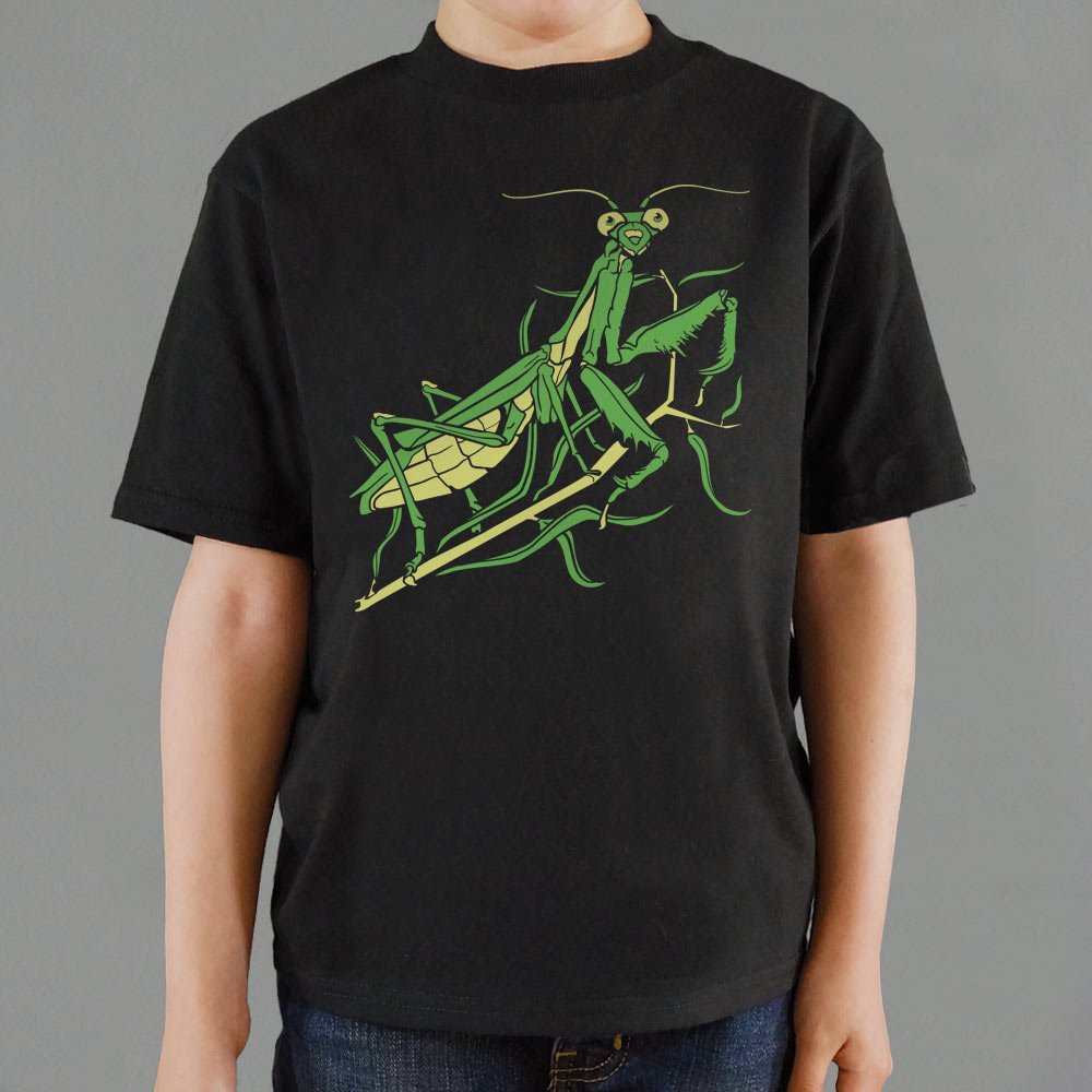 Praying Mantis