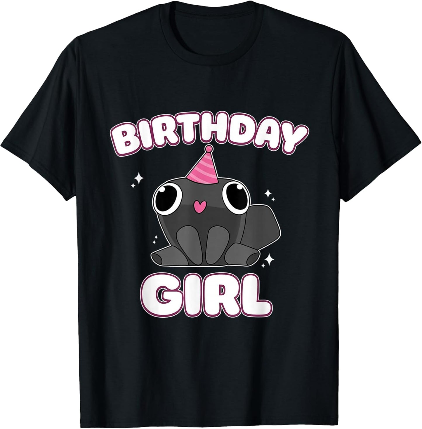 Birthday Girl Pebble Funny Dandy's Minimalist Humor Gifts T-Shirt