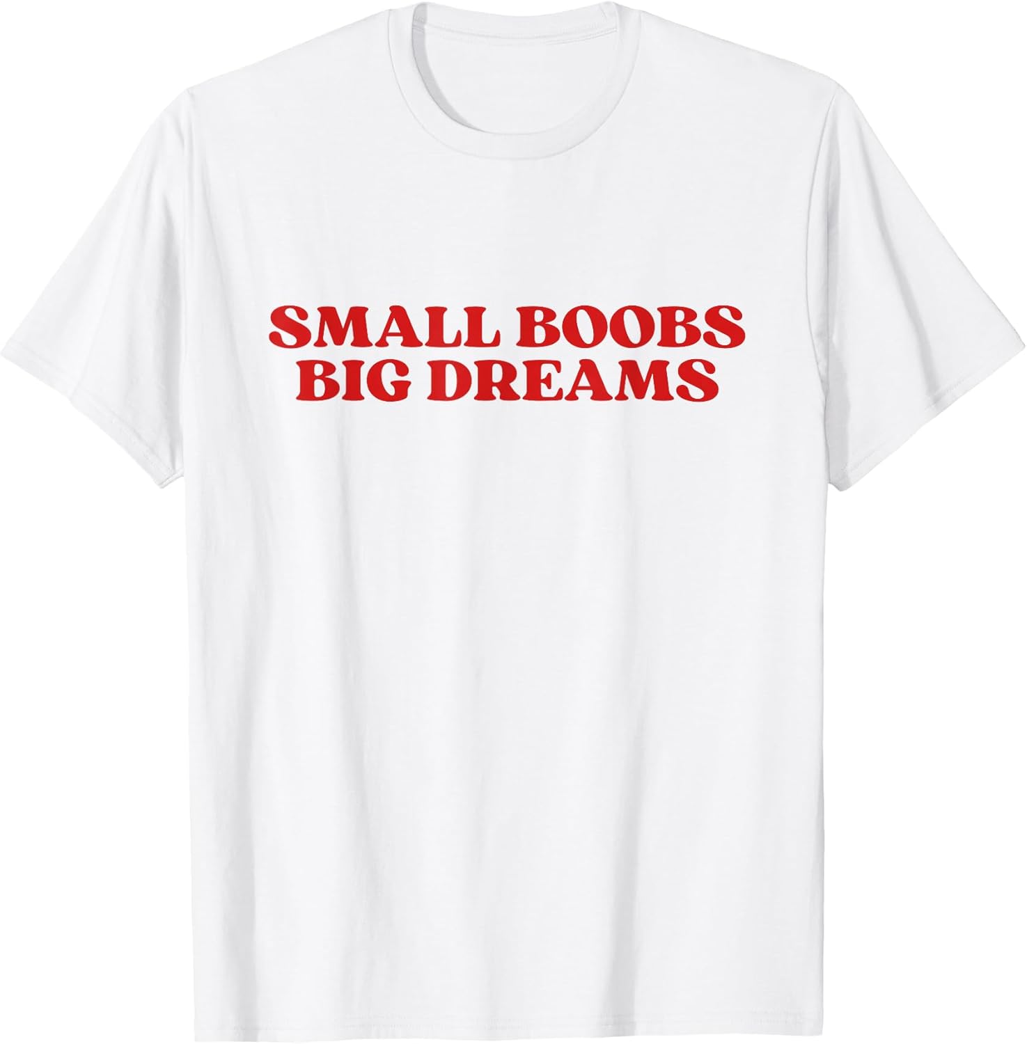 Small Boobs Big Dreams Aesthetic Y2K T-Shirt