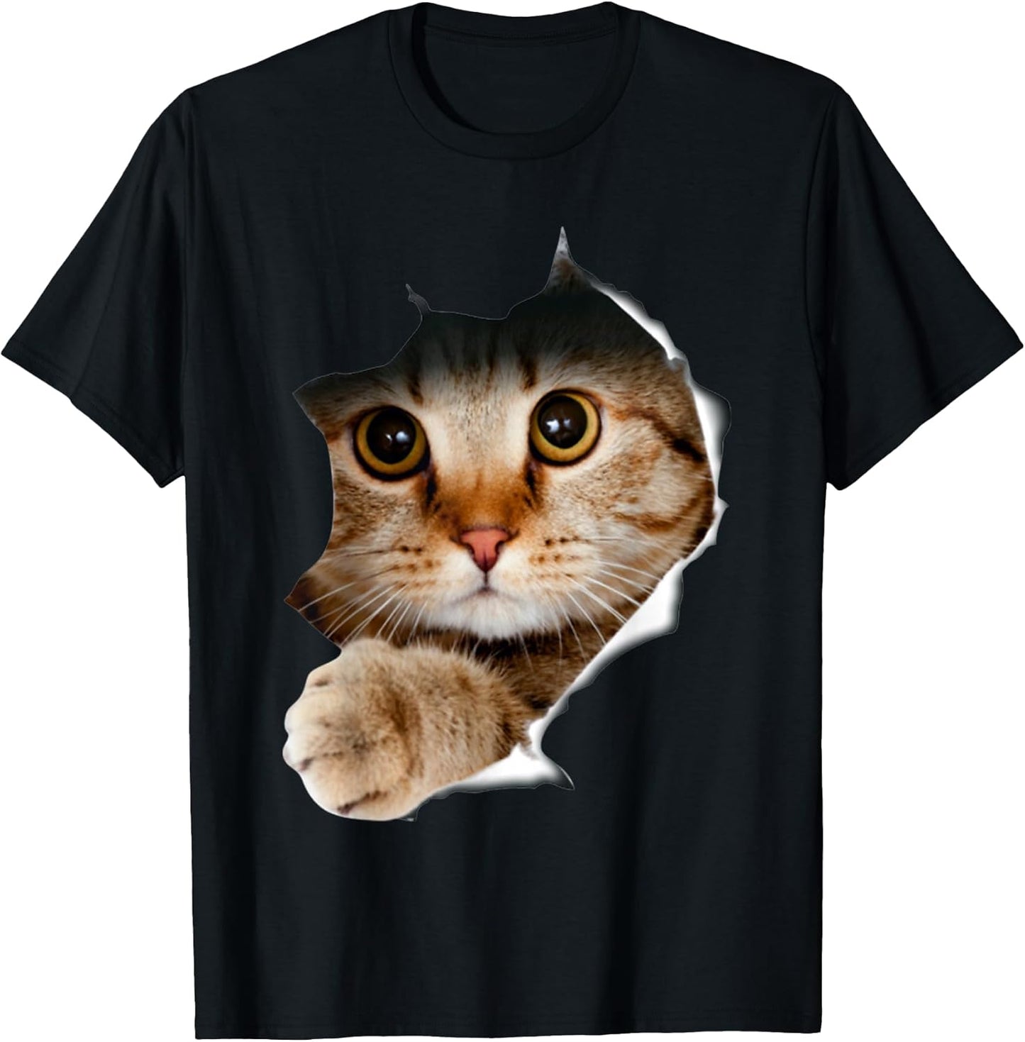 Kitten Lover Tshirt Cute Kitten Tees Cat Lover Tee