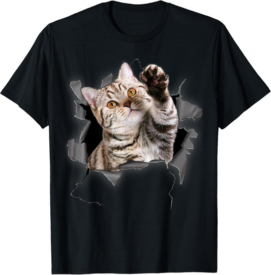 Kitten Torn Gift Store Co