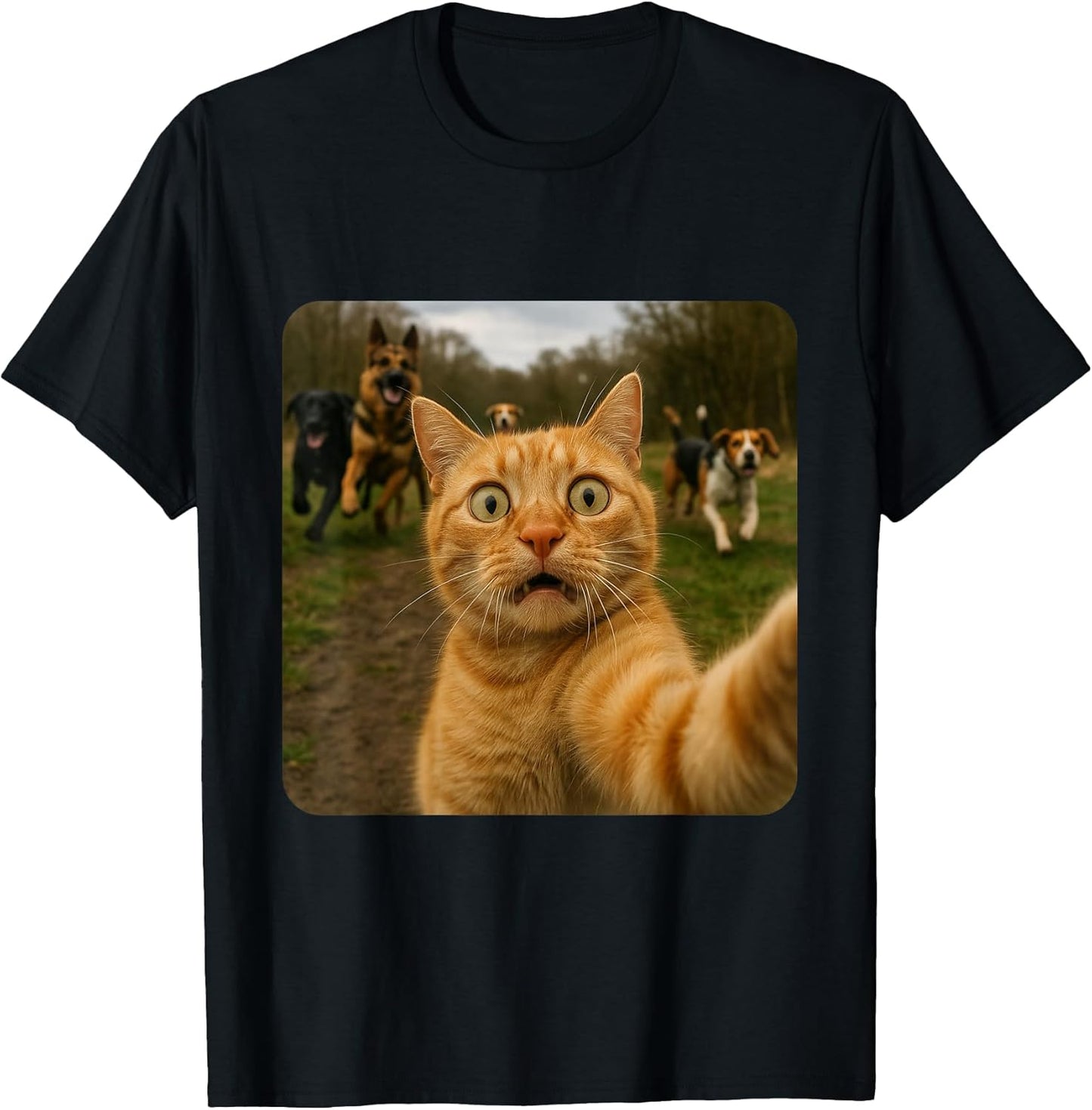 Cat Meme Collective