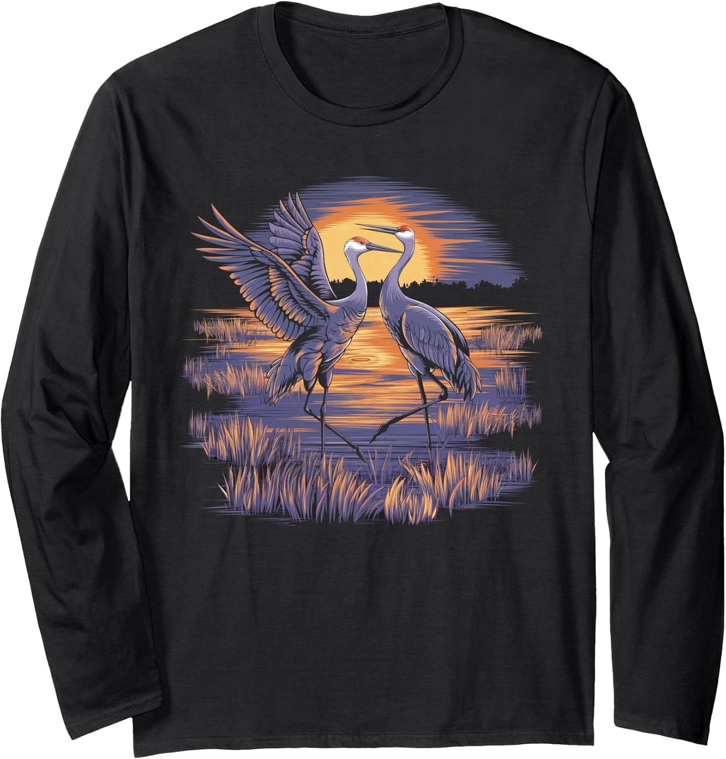 Sandhill Crane, Birdwatching, Wildlife Enthusiasts