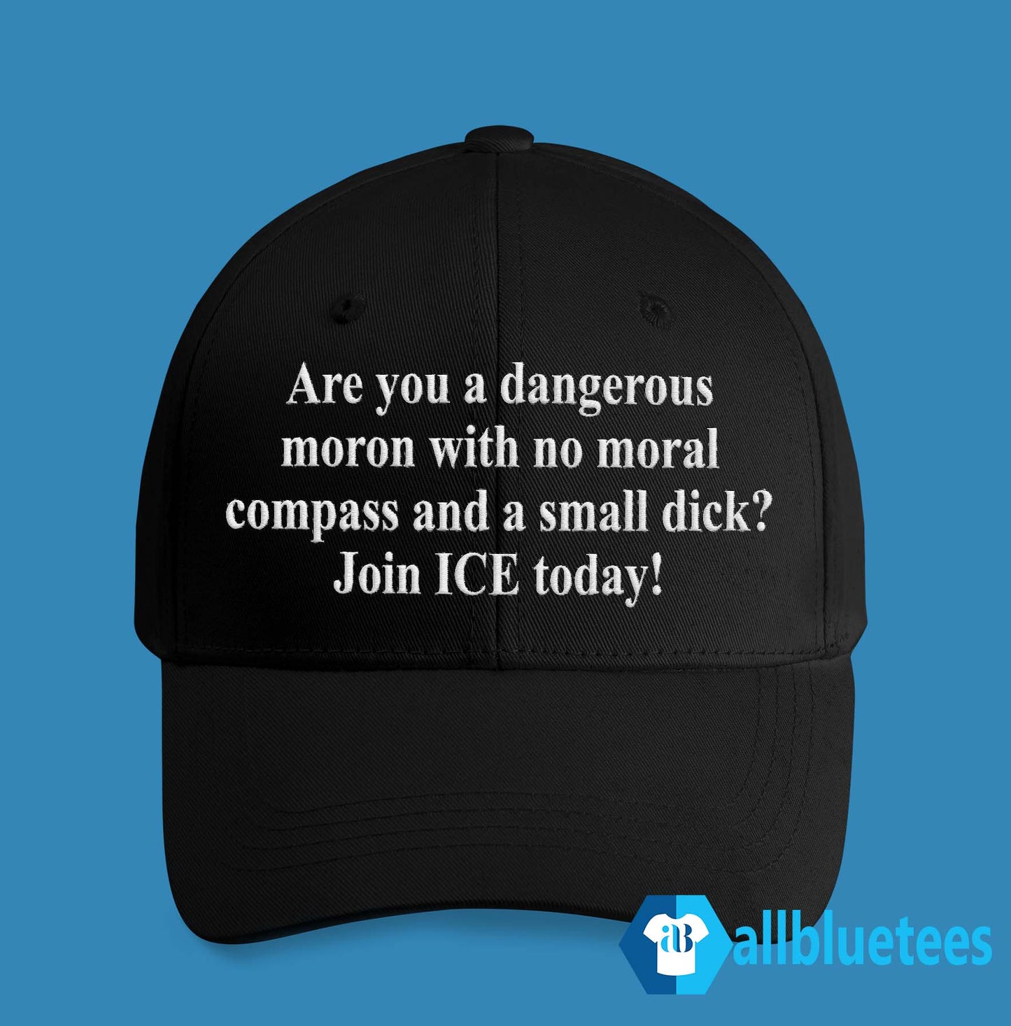 Are You A Dangerous Moron With No Moral Compass Hat