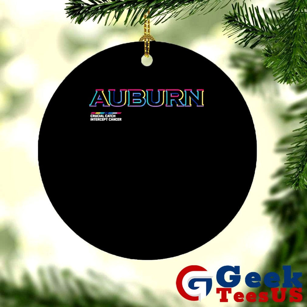 Auburn Tigers Football 2025 Crucial Catch Intercept Cancer T-shirt