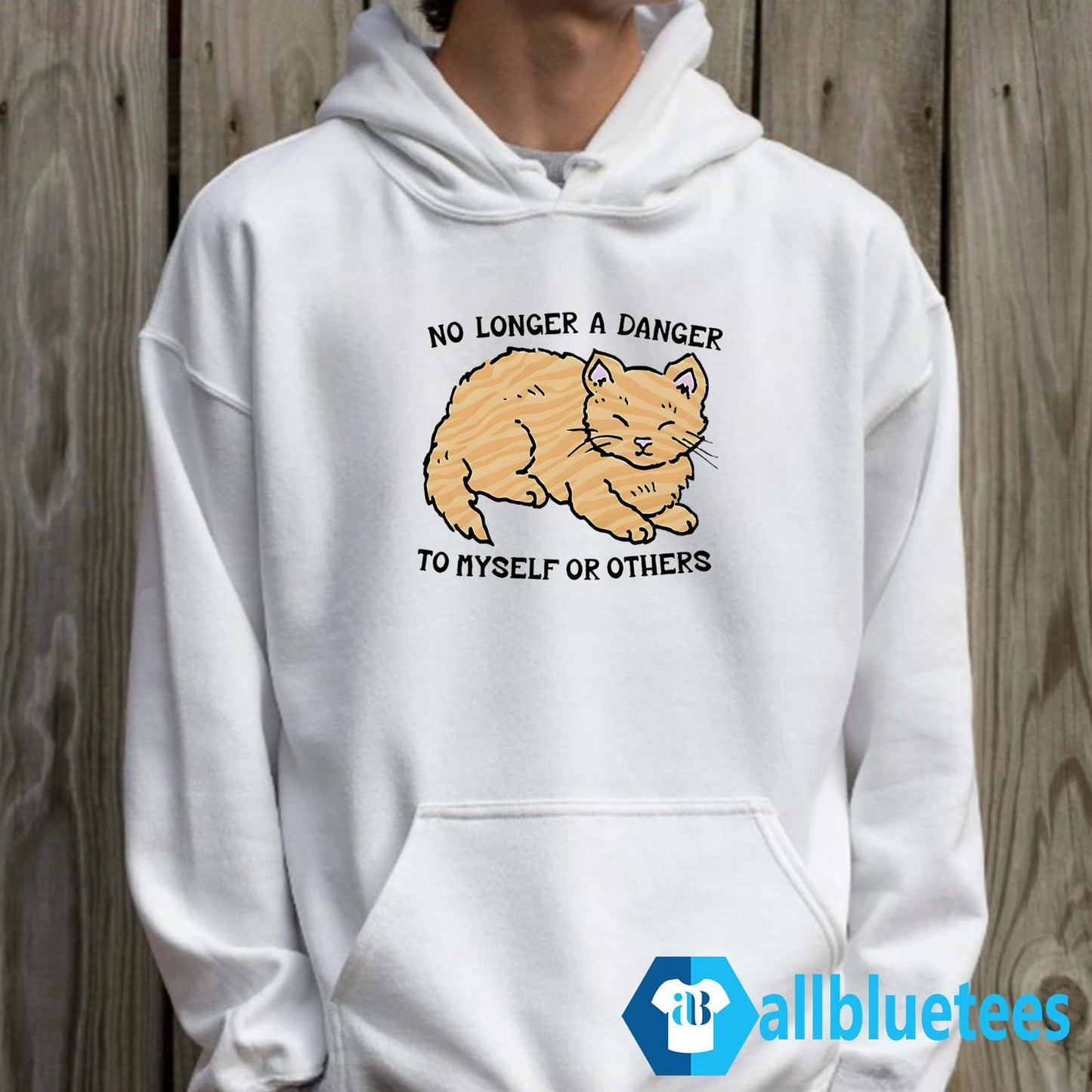 Cat No Longer A Danger To Myself Or Others Shirt