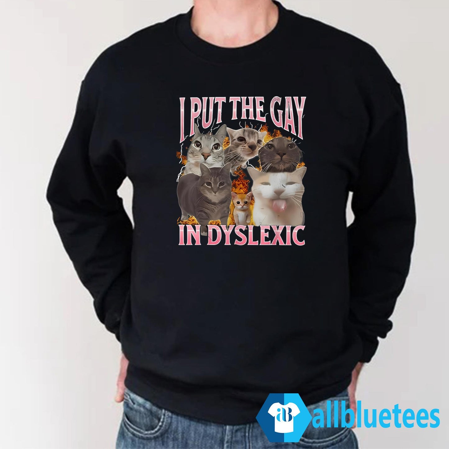 Cats I Put The Gay In Dyslexic Shirt