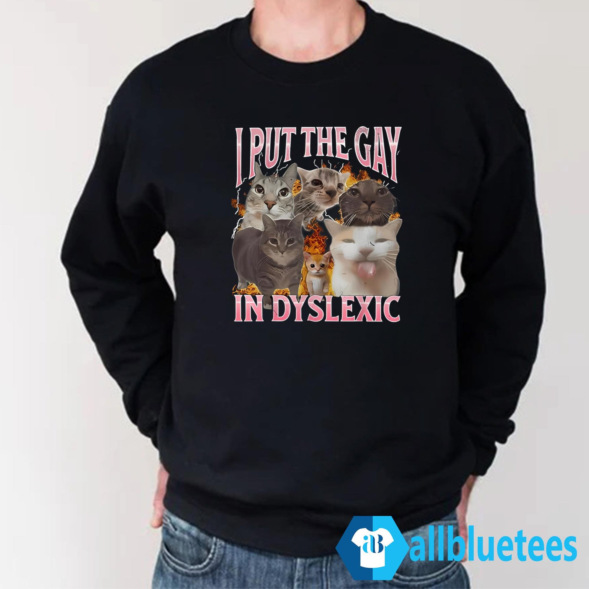 Cats I Put The Gay In Dyslexic Shirt