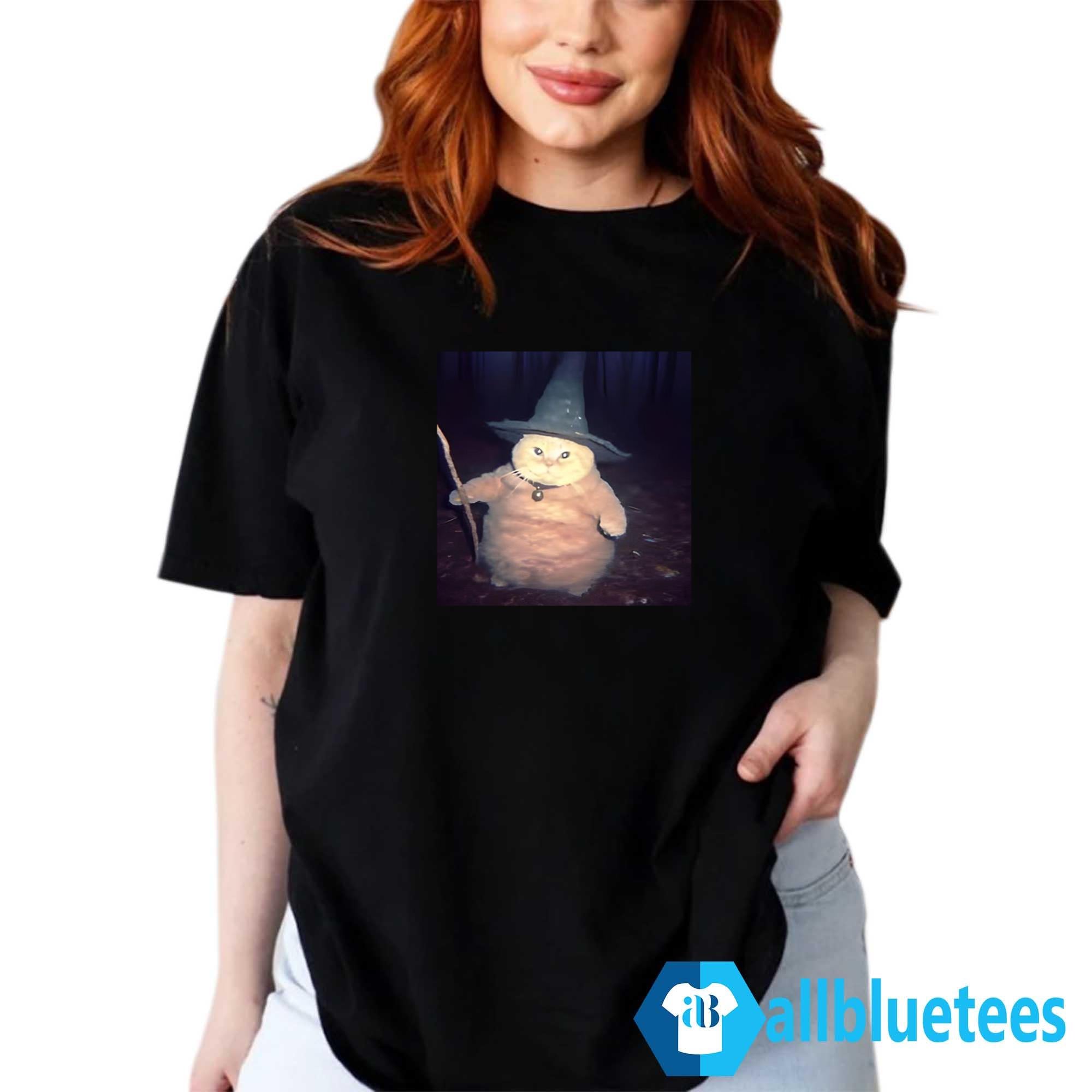 Cheeseball The Wizard Cat Meme Shirt