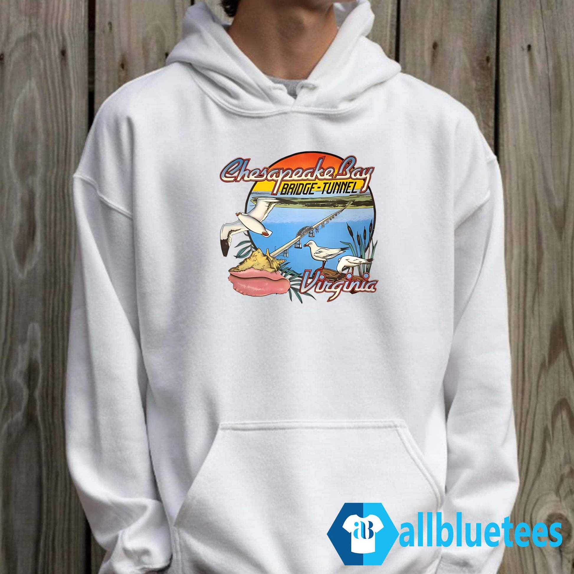 80s Chesapeake Bay Bridge-tunnel Virginia Shirt