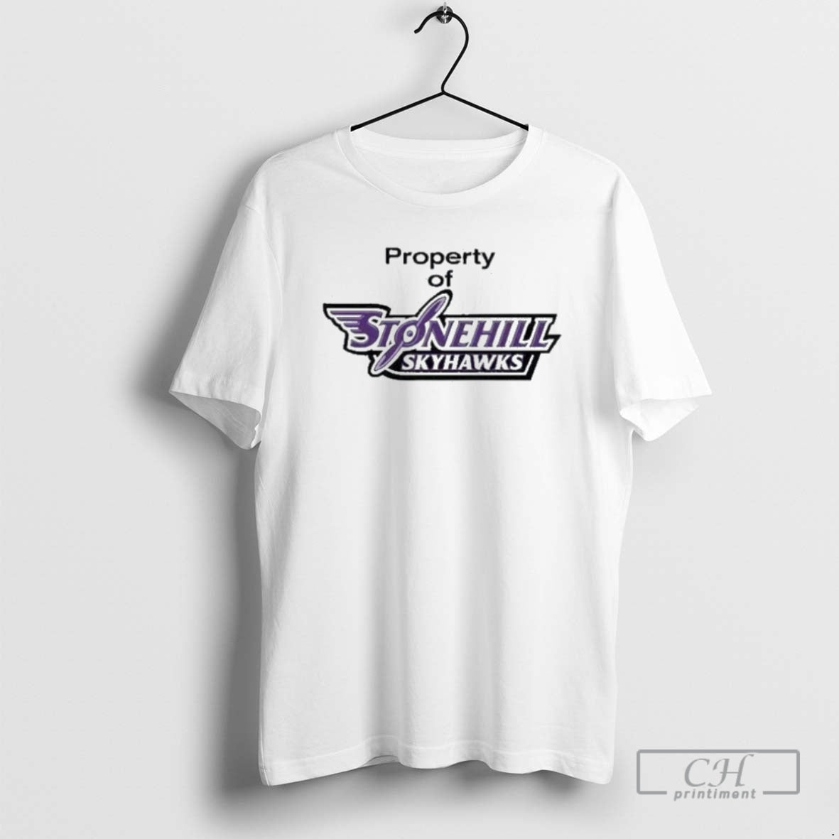 Classic Dumb Money Keith Gill Property Of Stonehill Skyhawks Shirt Sweater