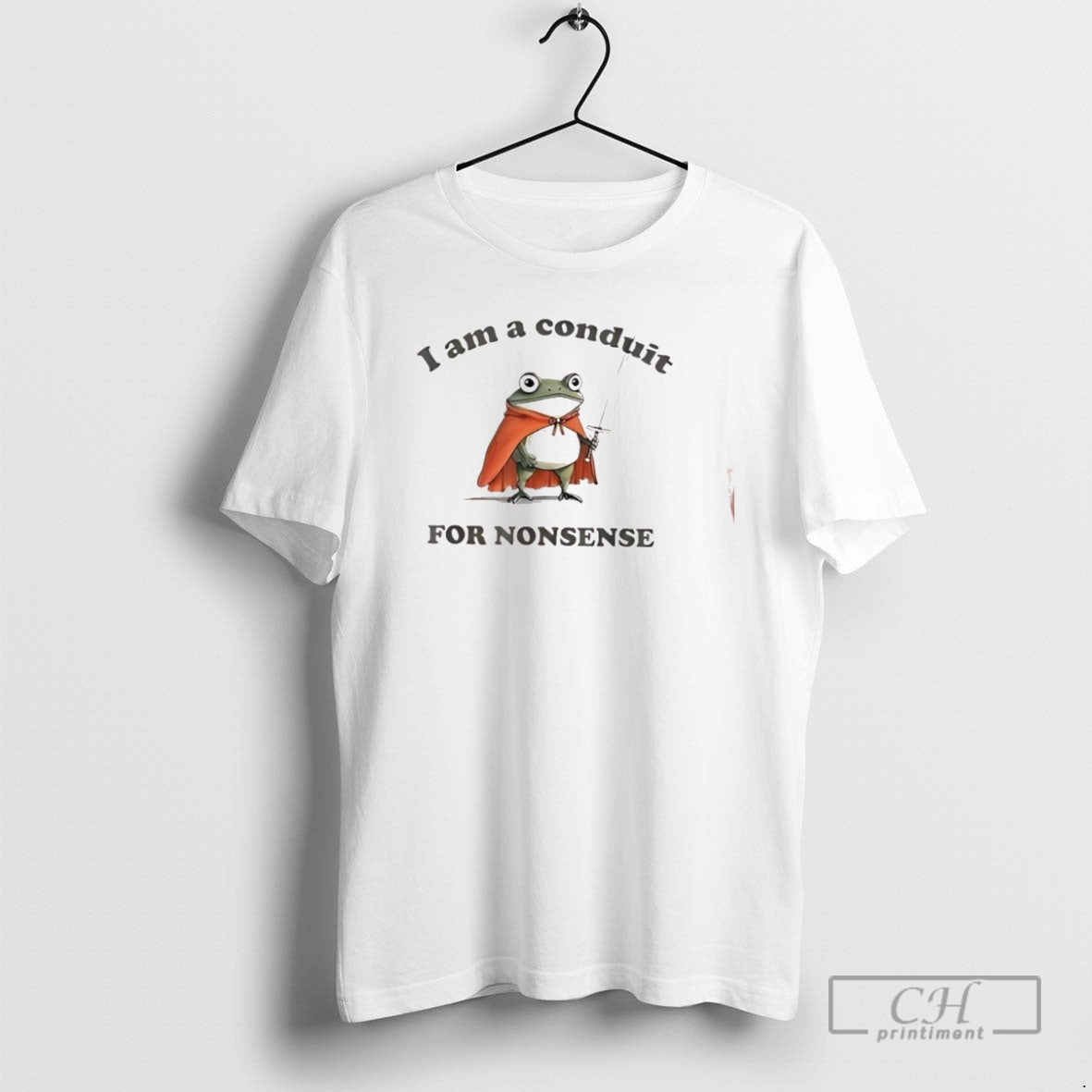 Classic I Am A Conduit For Nonsense Frog Shirt Sweater