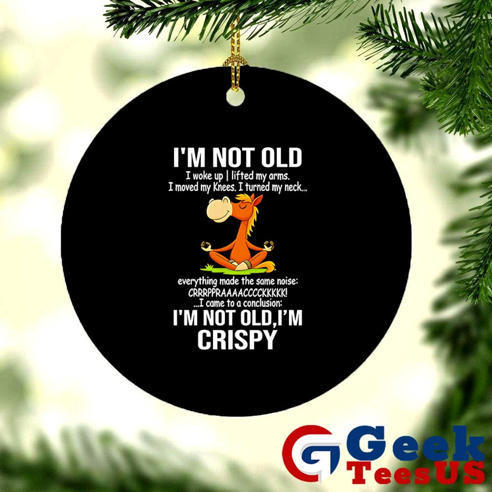 Donkey I’m not old I woke up I lifted my arms shirt