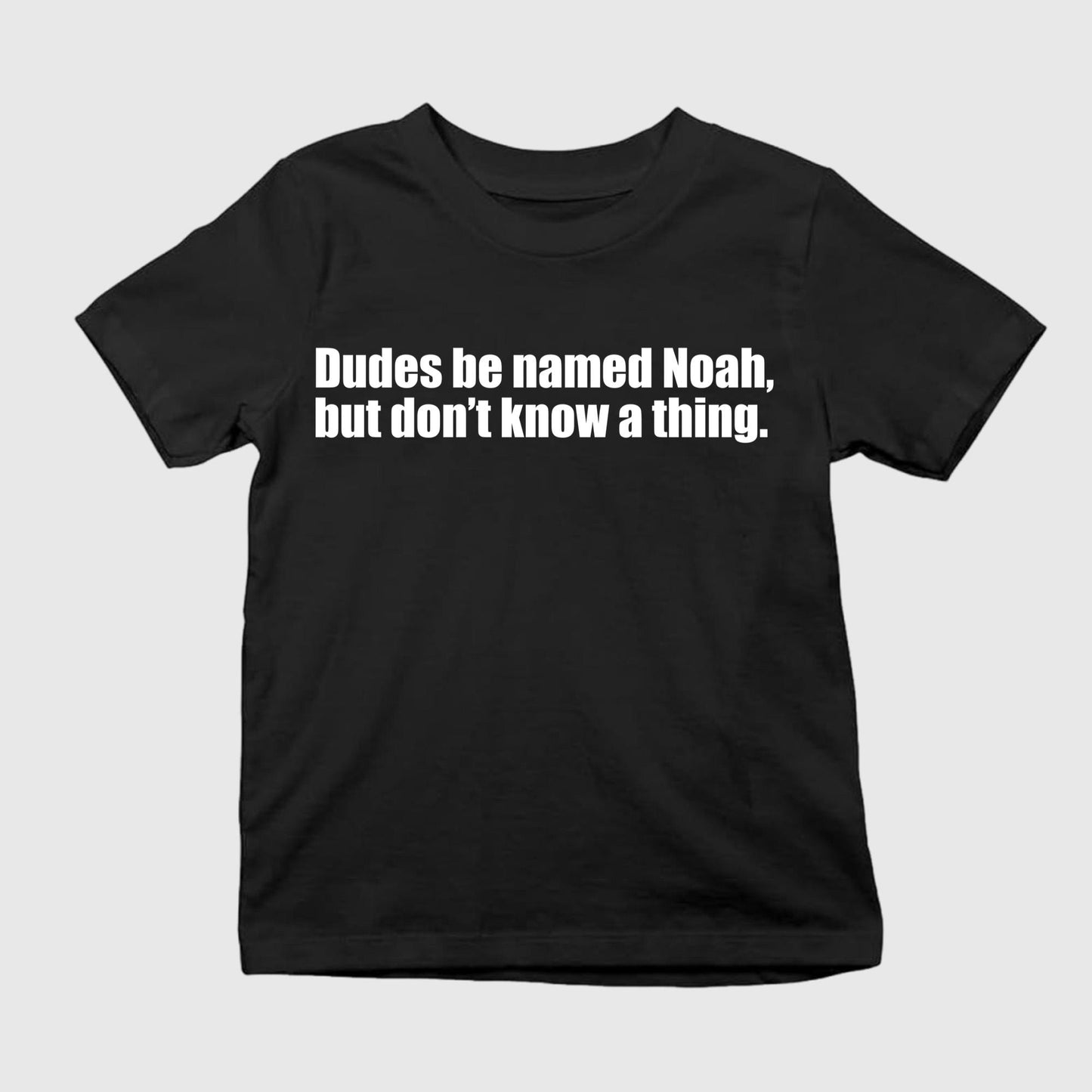 Dudes Be Named Noah But Don’t Know A Thing Shirt
