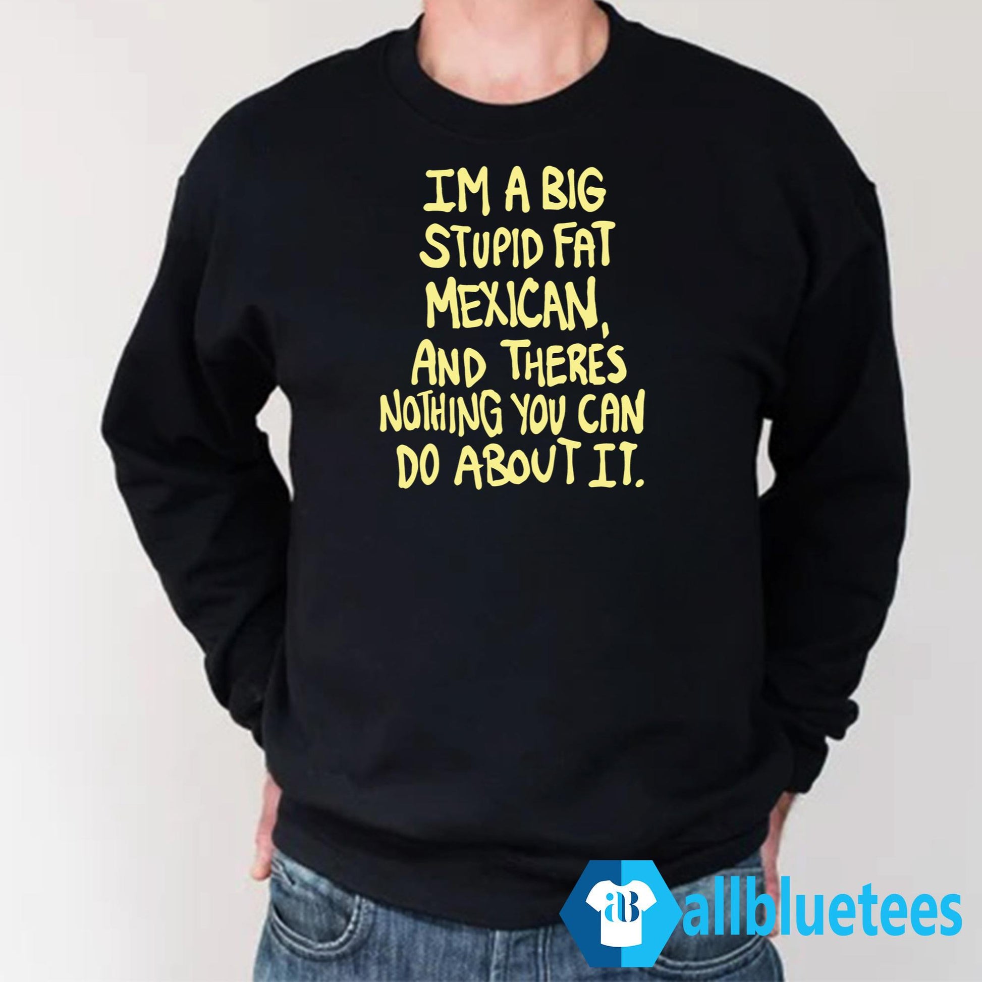 Im A Big Stupid Fat Mexican Shirt
