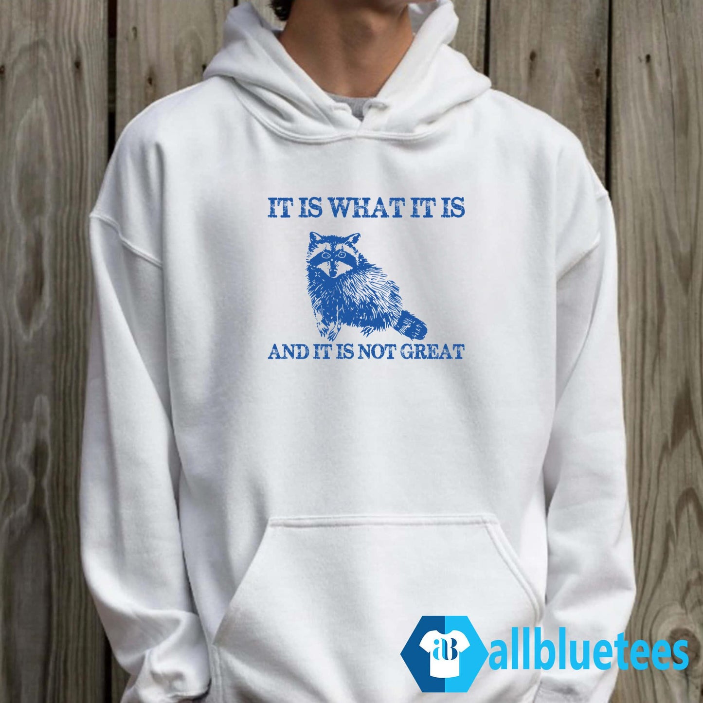 It Is What It Is And It Is Not Great Shirt