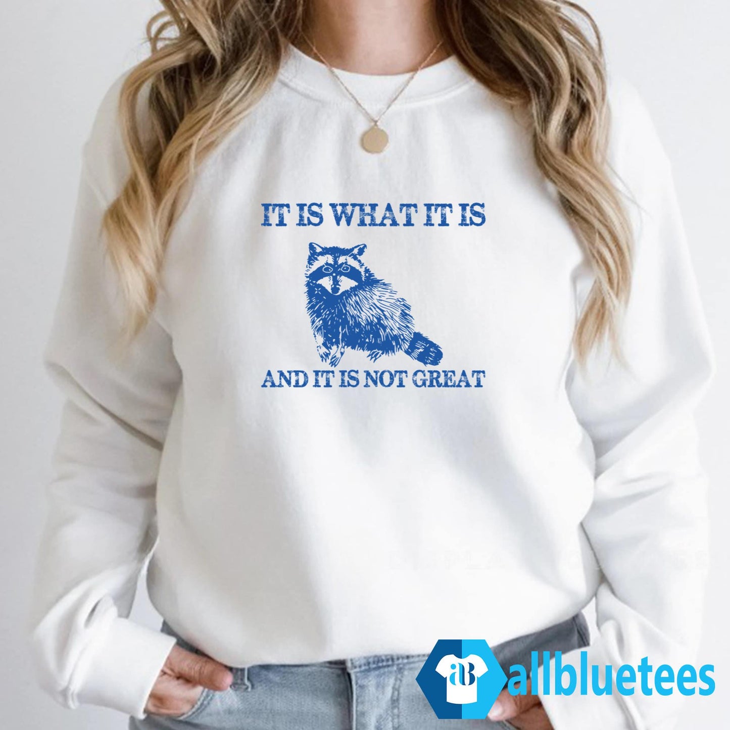 It Is What It Is And It Is Not Great Shirt