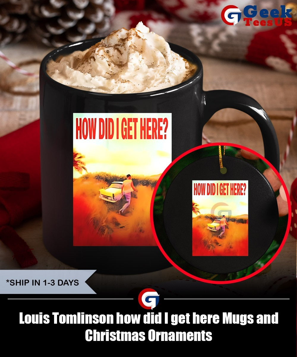 Louis Tomlinson how did I get here shirt