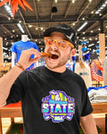NSA Michigan State Championships Fastpitch Tournament 2026 shirt