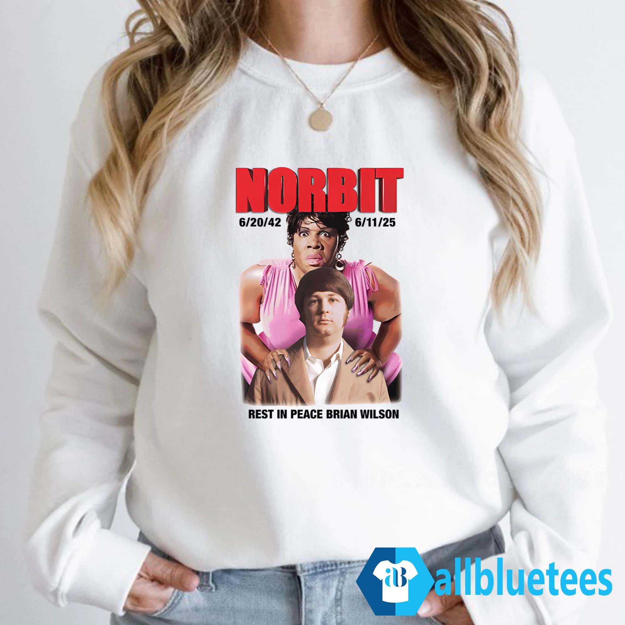 Norbit Rest In Peace Brian Wilson Shirt