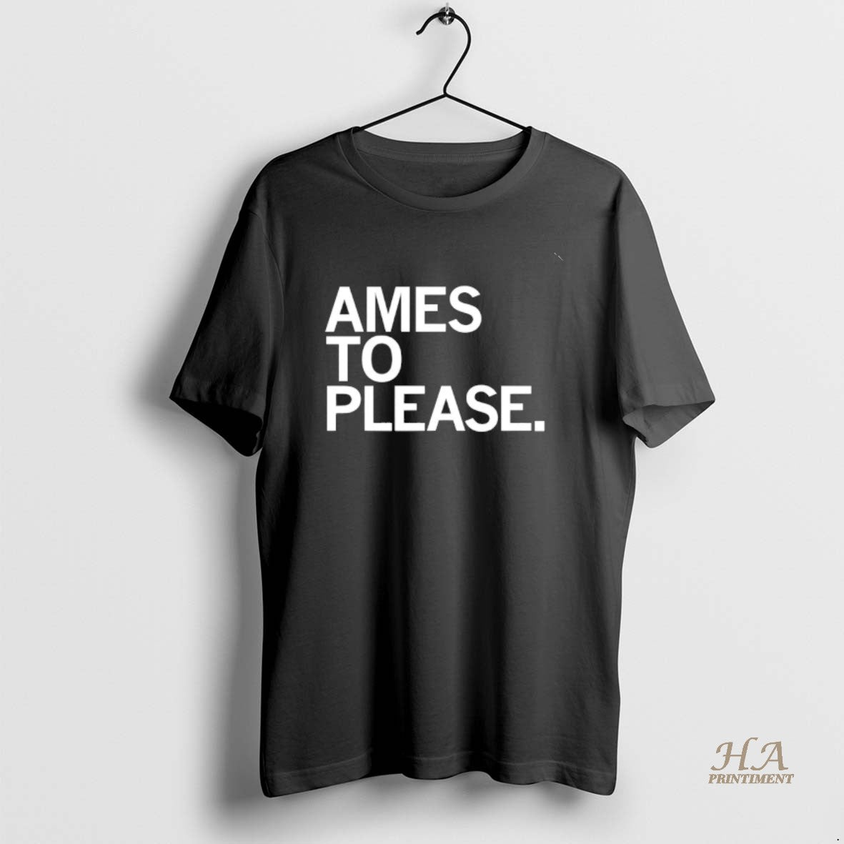 Official Ames To Please