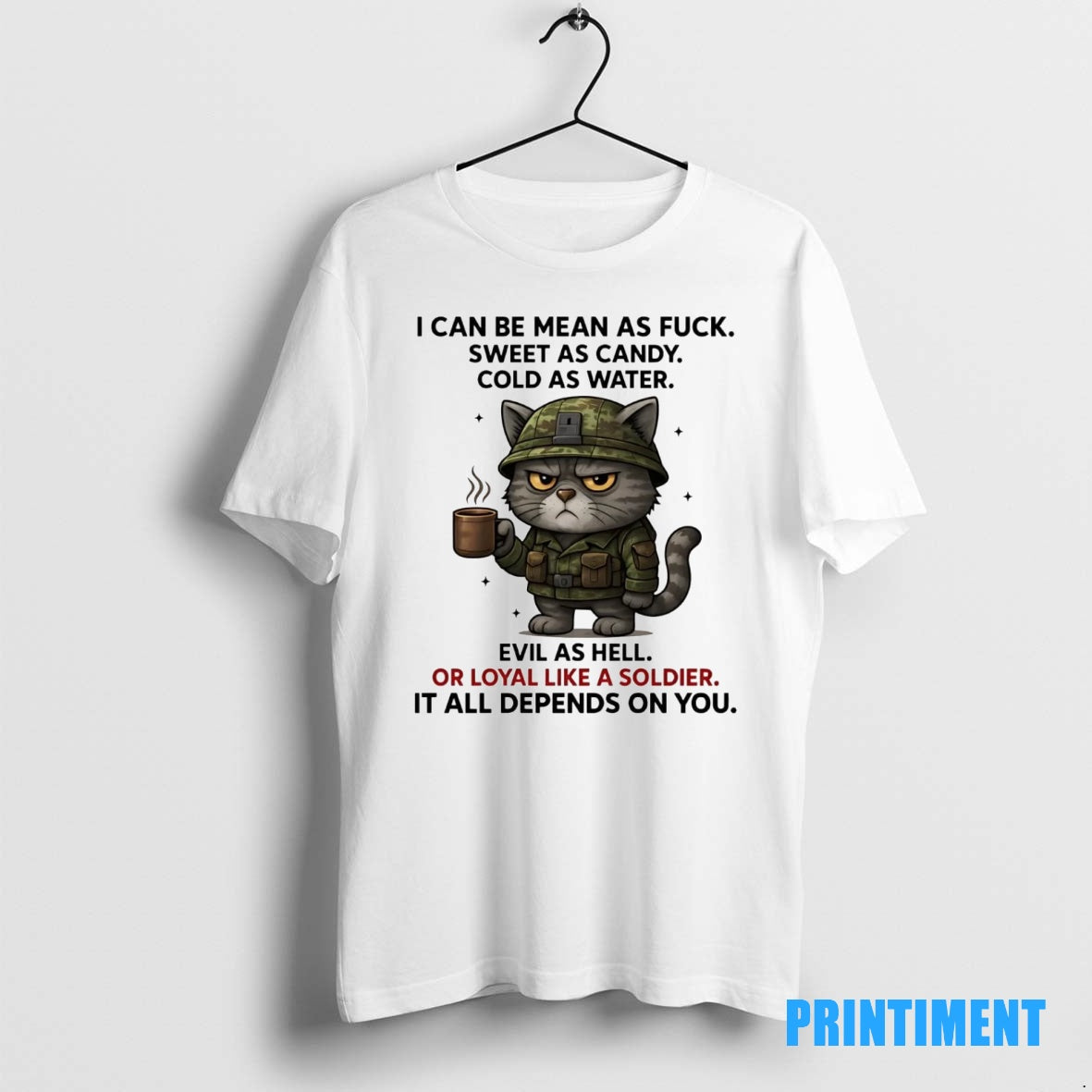 Official Cat I Can Be Mean As Fuck Sweet As Candy Tee Sweater