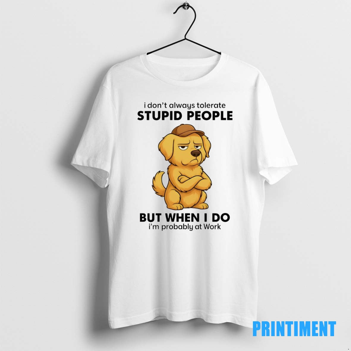 Official Golden Retriever I Dont Always Tolerate People Tee Sweater