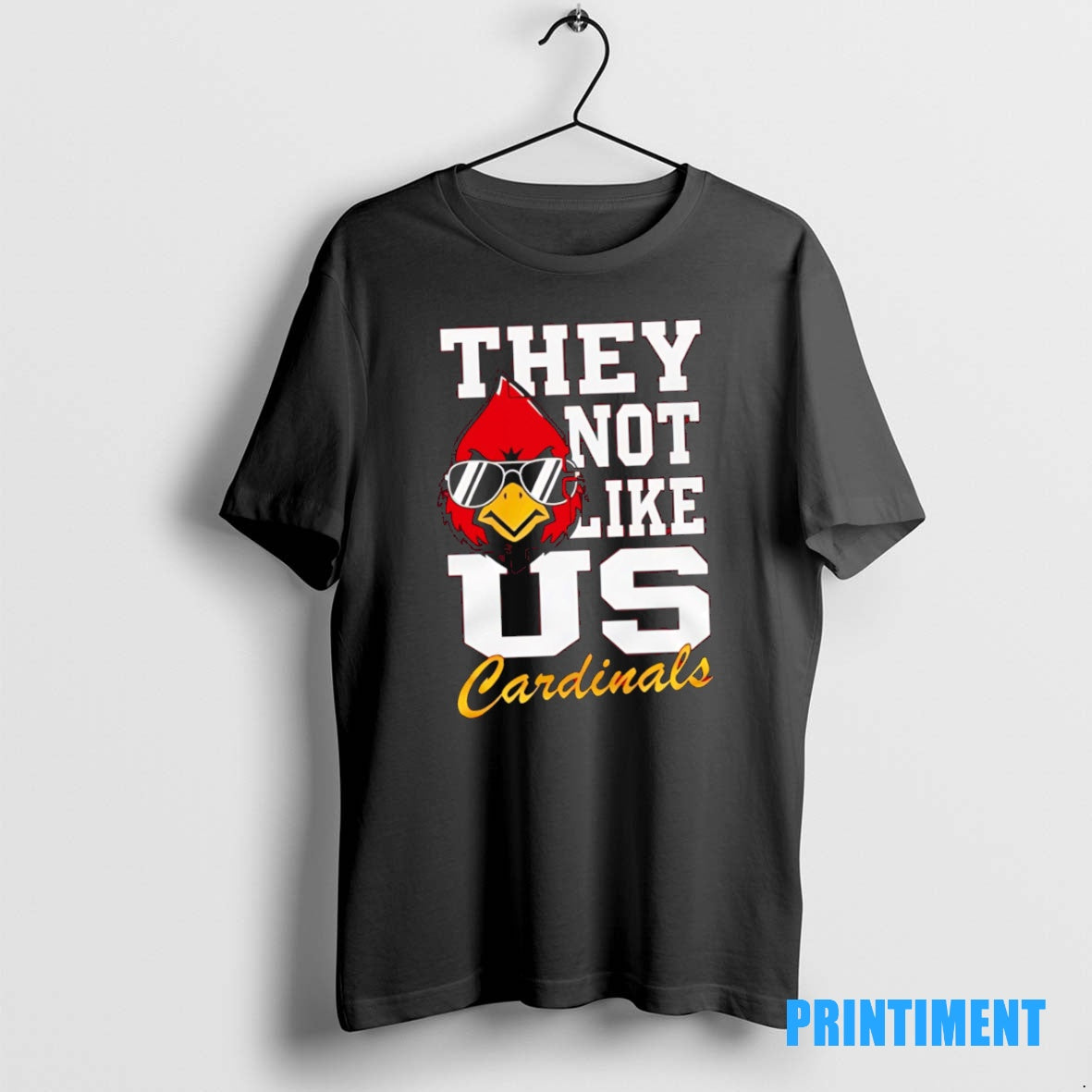 Official Louisville Cardinals 2025 Ncaa They Not Like Us Tee Sweater