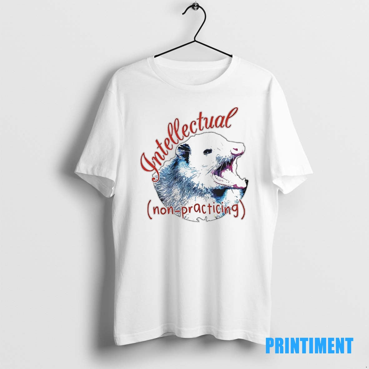 Official Possum Intellectual Non Practicing Tee Sweater