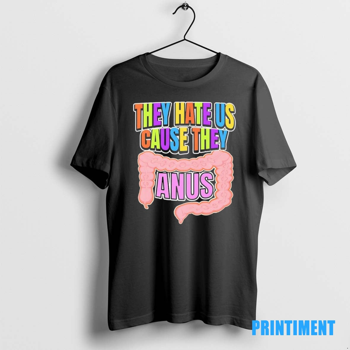 Official They Hate Us Cause They Anus Tee Sweater