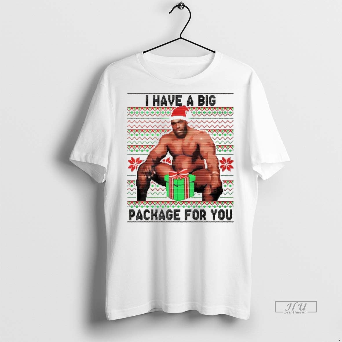 Officials I Have A Big Package For You Ugly Christmas Tee Shirt Sweater