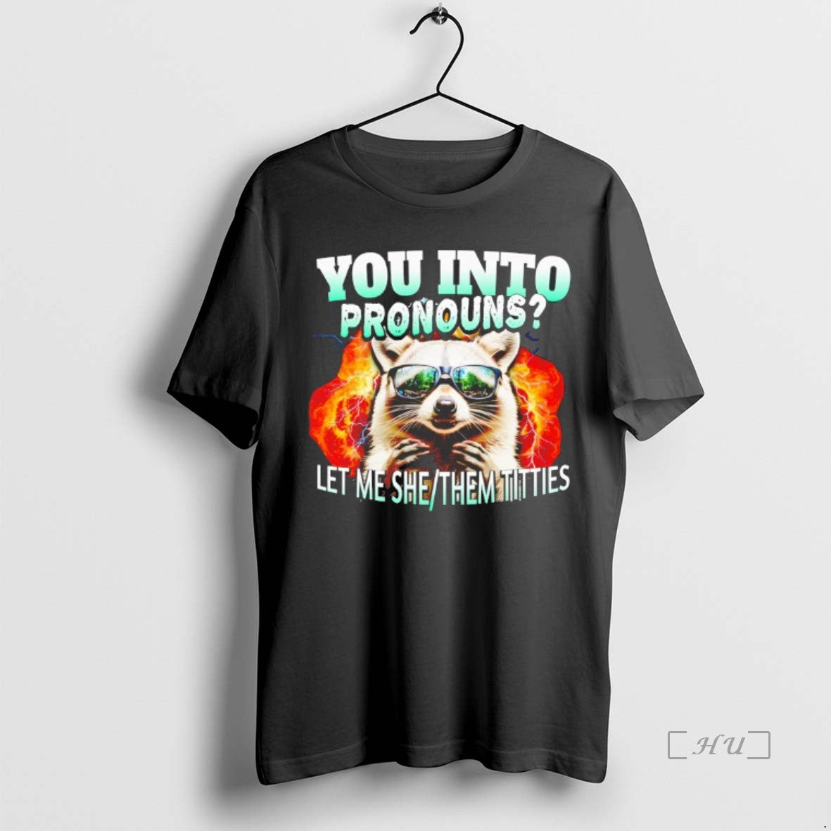 Officials Let Me She Them Titties Raccoon Pronouns Premium T Shirt Sweater