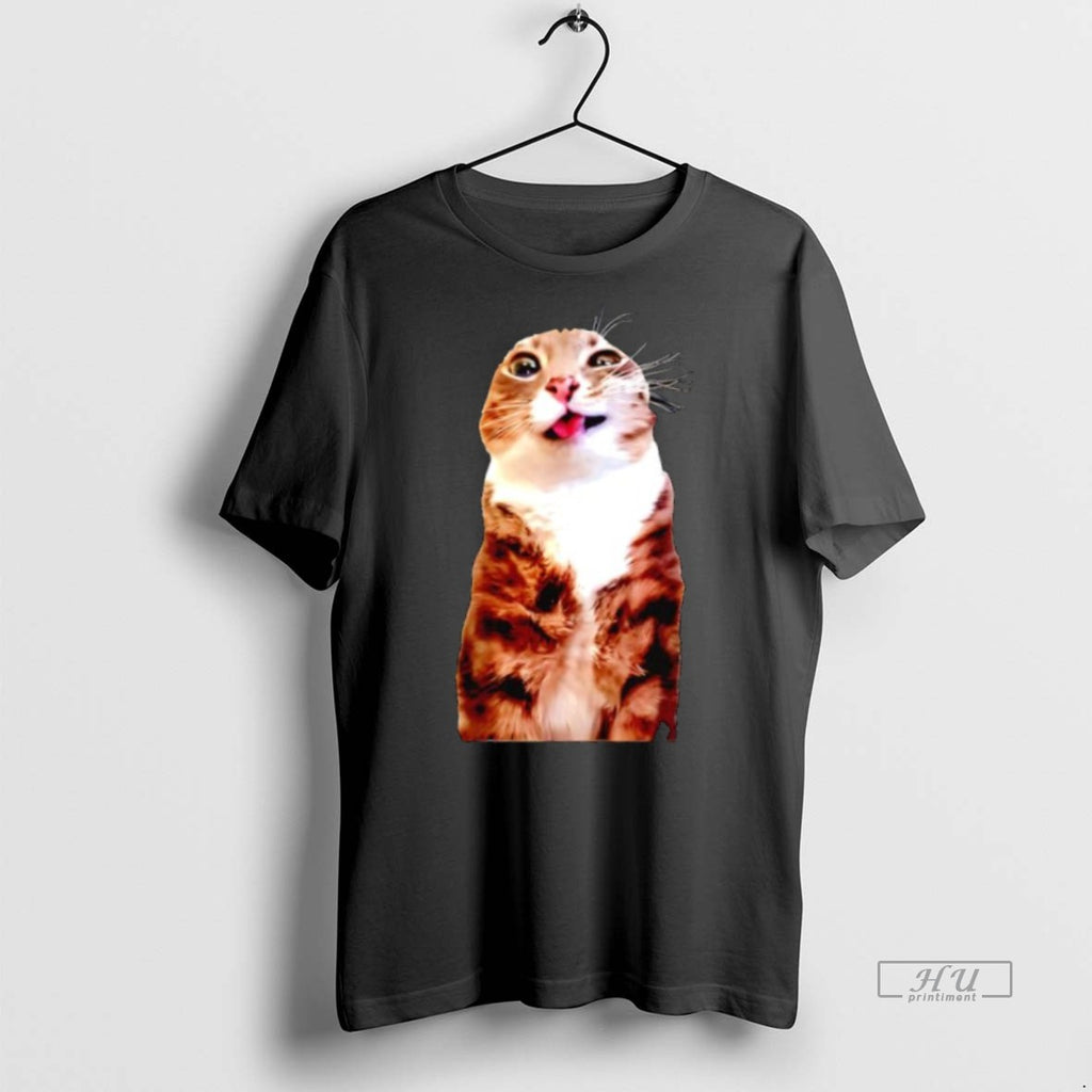 Officials Rigby Cat Meme Graphic Tee Shirt Sweater