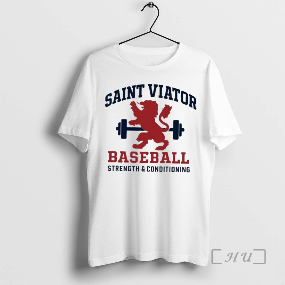 Officials Saint Viator Baseball Strength Conditioning