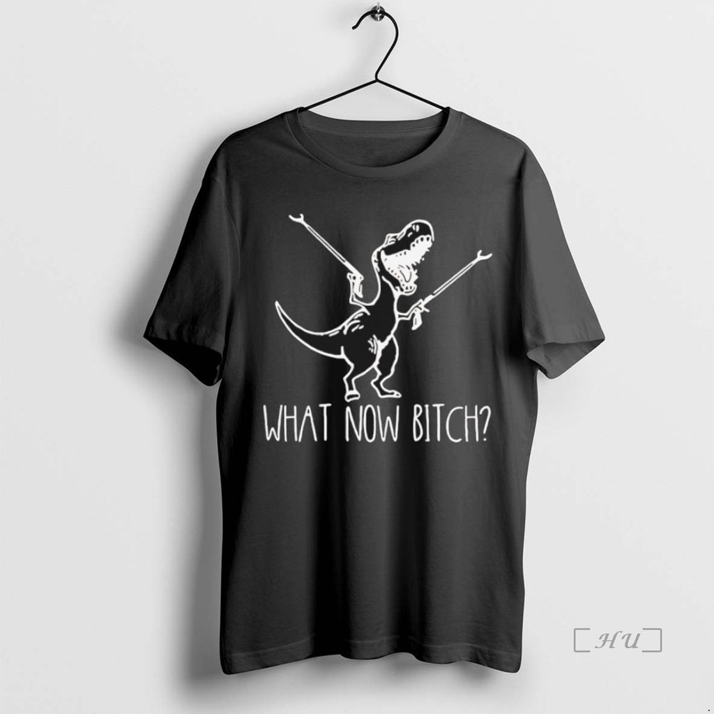 Officials What Now Bitch T Rex Premium T Shirt Sweater