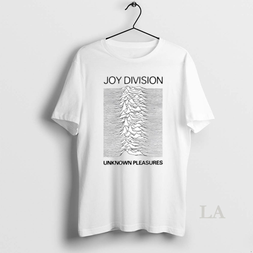 Original Anthony Albanese Joy Division Unknown Pleasures Ornaments
