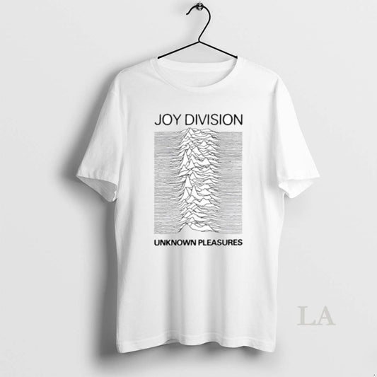 Original Anthony Albanese Joy Division Unknown Pleasures Ornaments