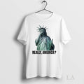 Original Funny Government Shutdown Statue Of Liberty Really America
