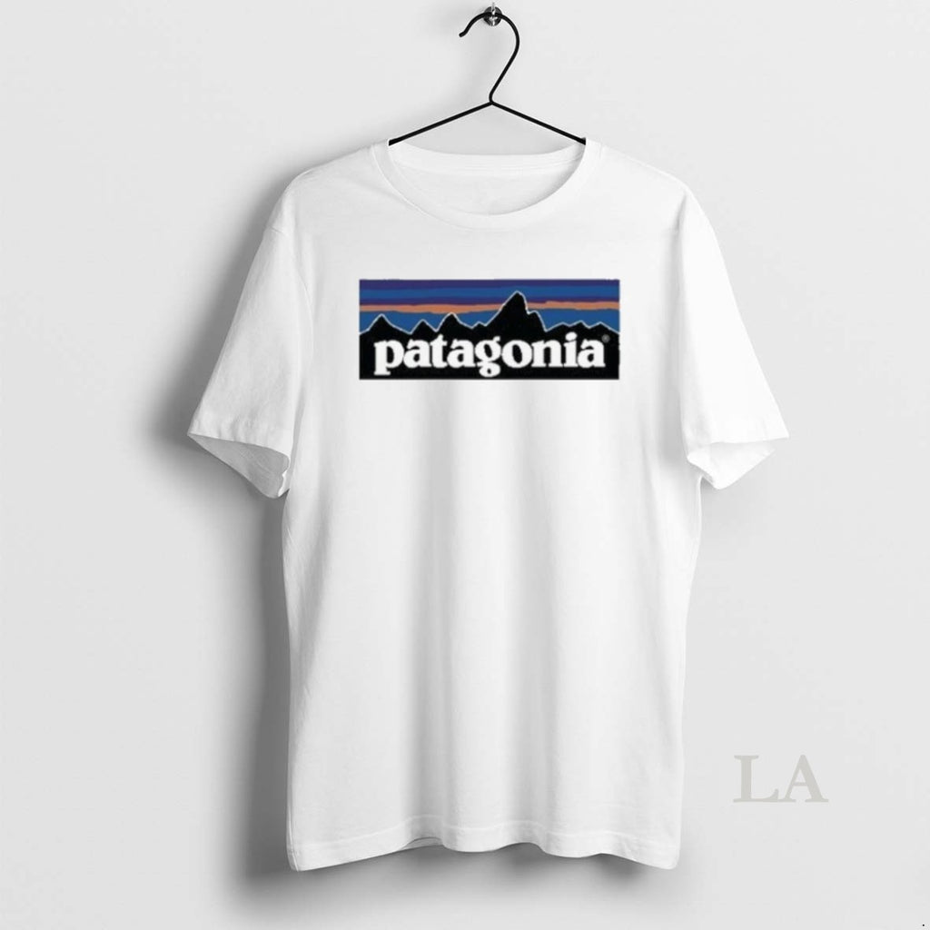 Original Patagonia P 6 Logo 2025