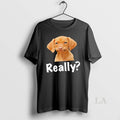 Original Really Unimpressed Dog Meme