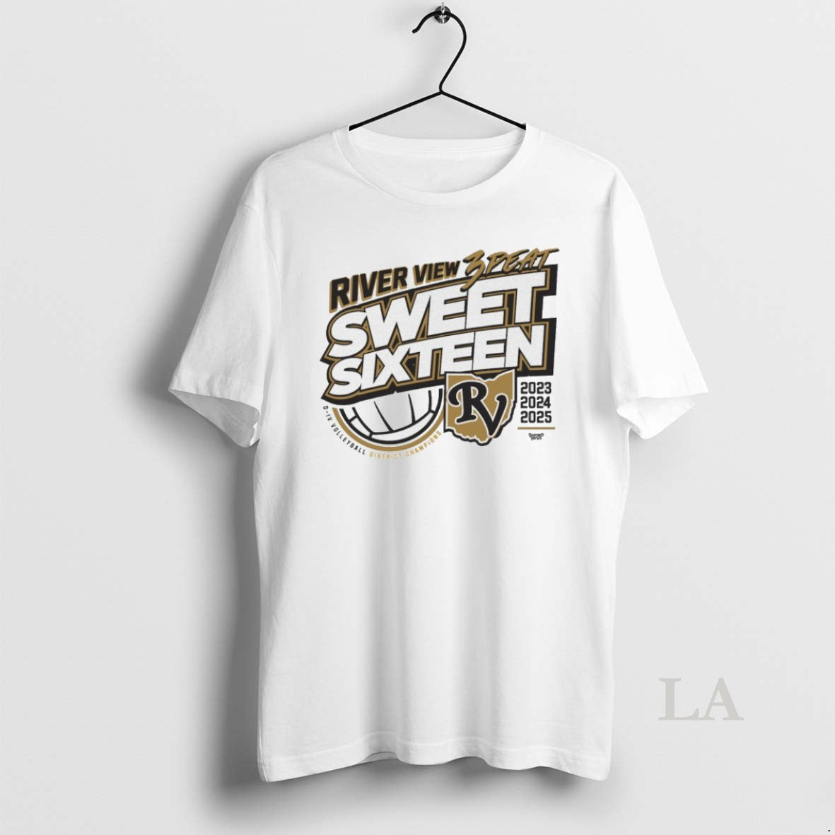 Original River View 3 Peat Sweet Sixteen Volleyball District Champions 2025