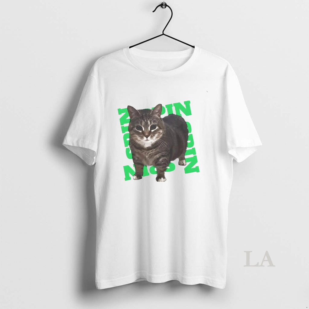 Original Spinning Tabby Cat