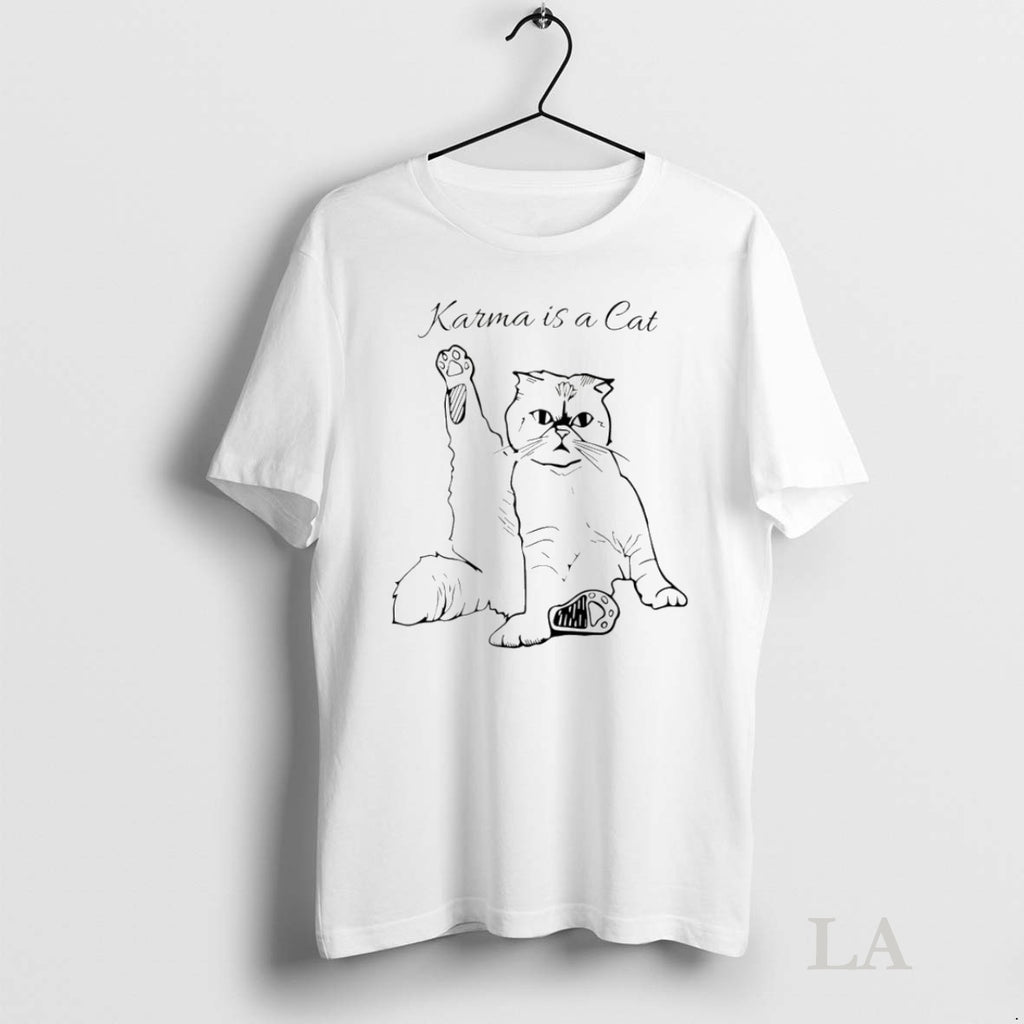 Original Taylor Karma Is A Cat