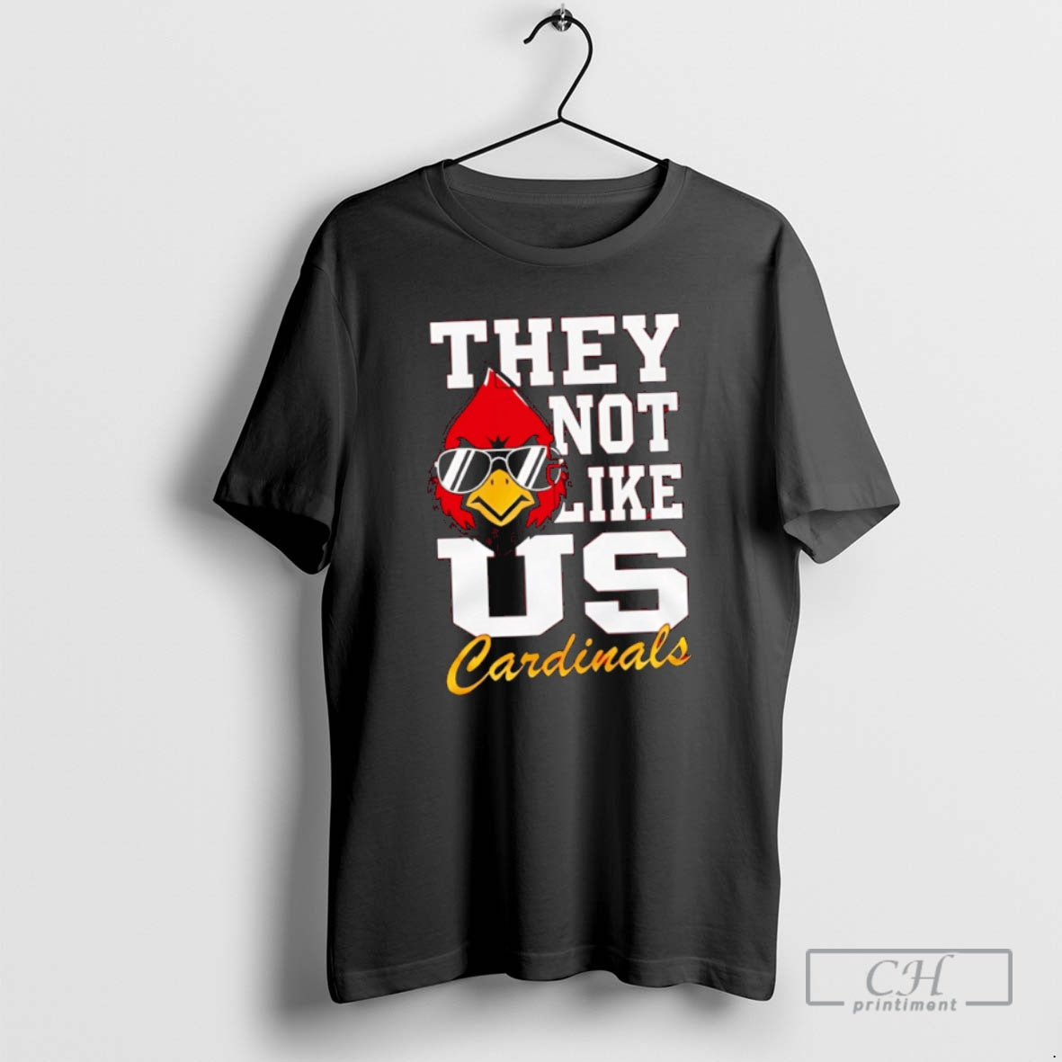 Premium Louisville Cardinals 2025 Ncaa They Not Like Us Shirt Sweater