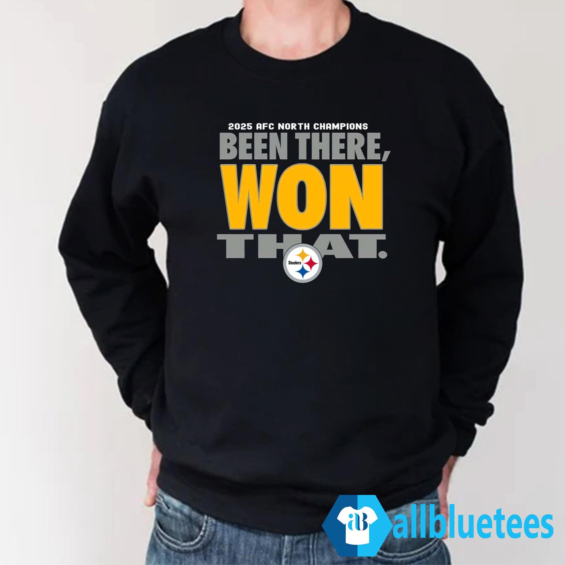 Steelers Been There Won That Shirt